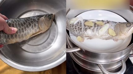 錦州觀賞魚工作室地址電話號(hào)碼（錦州觀賞魚工作室地址電話號(hào)碼查詢） 量子養(yǎng)魚技術(shù)