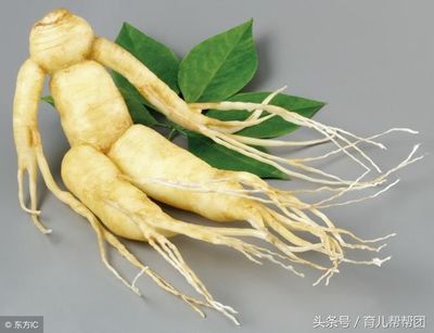 哺乳期吃人参对宝宝有影响吗