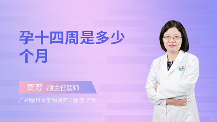 14周是多少个月