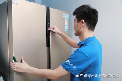 冰箱倒放后过多久才能用