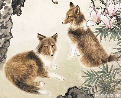 属狗的财运方向