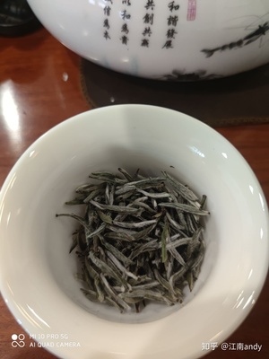 白茶是凉性的吗
