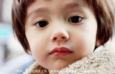 郑起名大全男孩