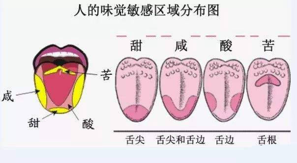 舌头发咸是怎么回事