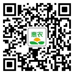 黄皮果焖鸡的制作方法