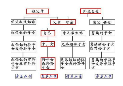 伯父是什么亲属关系