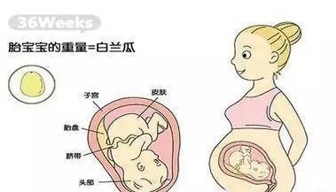 胎儿长头发
