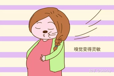 怀孕会有什么现象