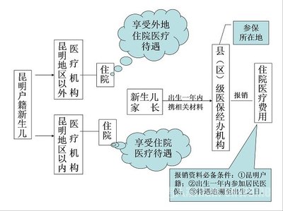 昆明新生儿落户