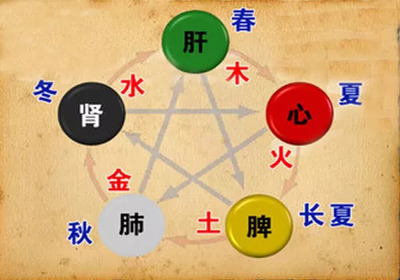 荟字五行