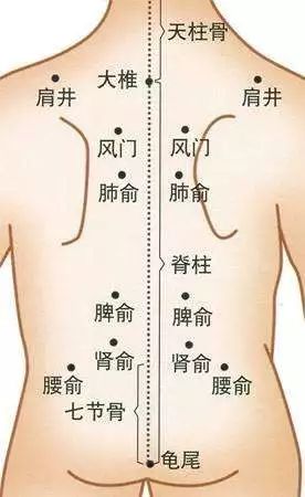 肩膀捏着疼是怎么回事