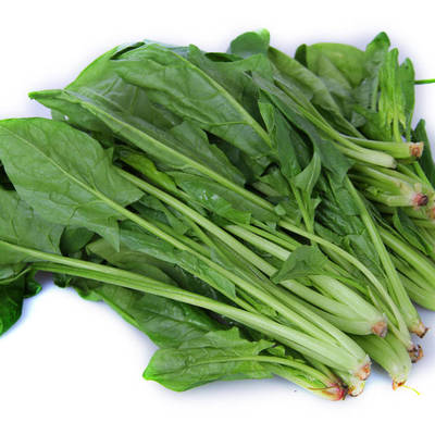 一岁半宝宝能吃韭菜吗