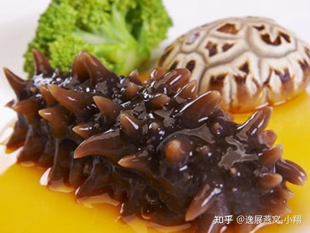怀孕海参和燕窝哪个好