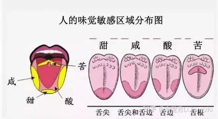 舌头发咸是怎么回事