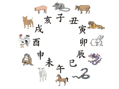 汽车代表什么生肖