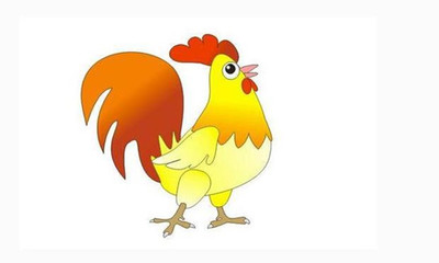 属鸡五行属什么
