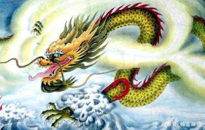 出谋划策的生肖