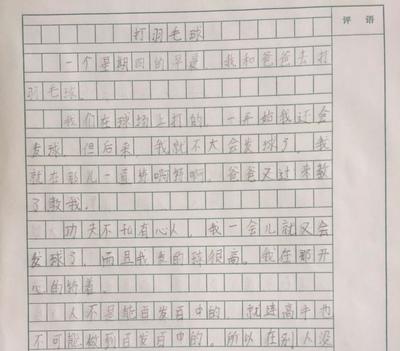 300子暑假作文怎么写