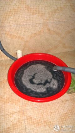 裤子染上颜色怎么洗掉吗