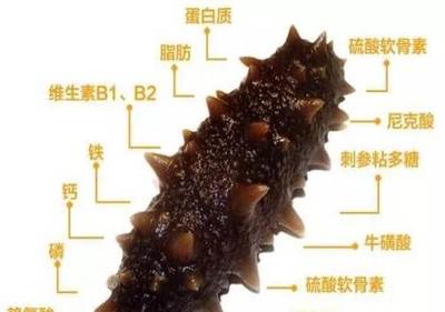 刺参的吃法