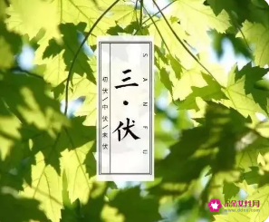 今年大暑时间