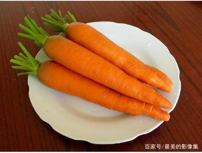 最喜欢吃胡萝卜怎么写