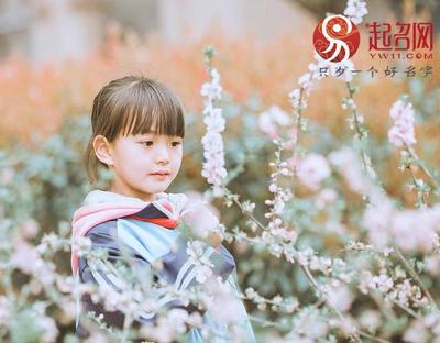 好听的缺木的女孩名字