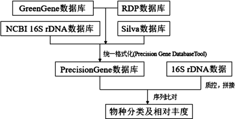 dna鉴定流程