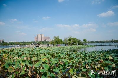 大明湖附近景点攻略