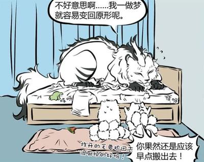 做梦找对象