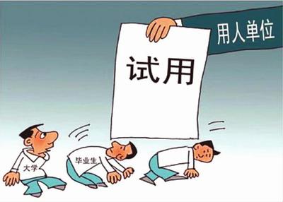 毕业生劳动合同