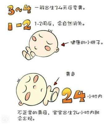 宝宝6个月奶量