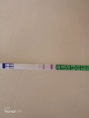 怀孕多长时间早孕试纸能测出来