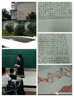 小组作文反思怎么写500字