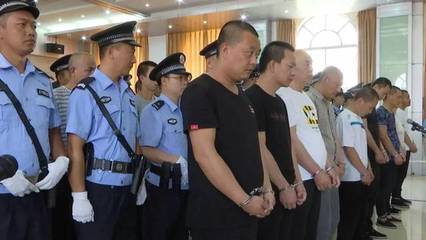 涉黑案件