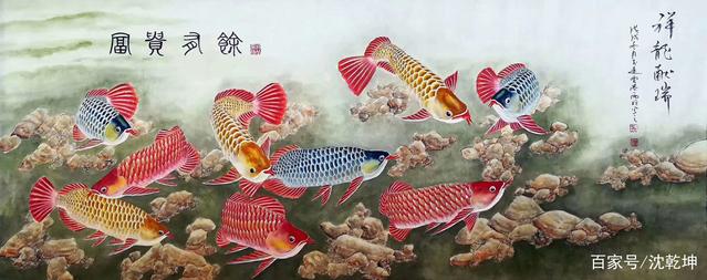 紅龍魚能活幾年（紅龍魚能活幾年壽命）