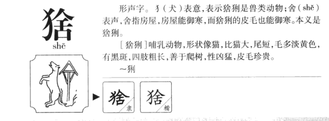 舍字五行属什么