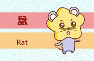 鼠宝宝好不好