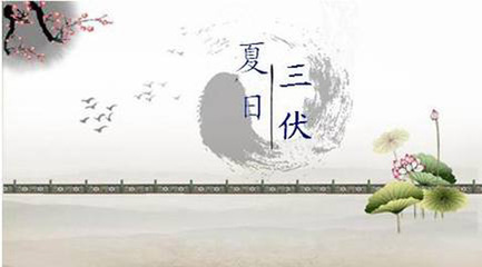 今年什么时候开始数伏