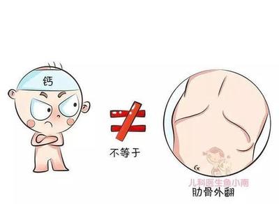 正常宝宝的肋骨图片
