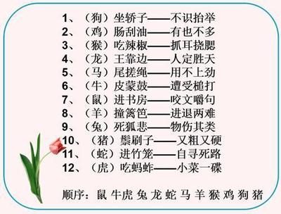 生肖顺序表