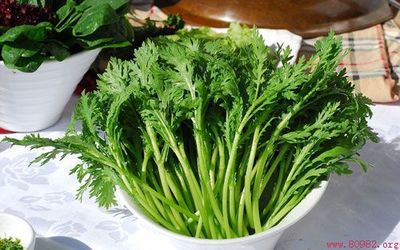 孕妇可以吃茼蒿吗
