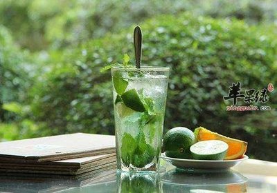 孕妇可以吃薄荷吗?他们在怀孕期间可以吃薄荷吗?