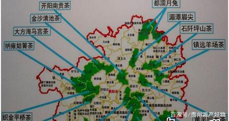 毕节市金沙县属于哪个省
