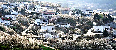 成都蒲江县