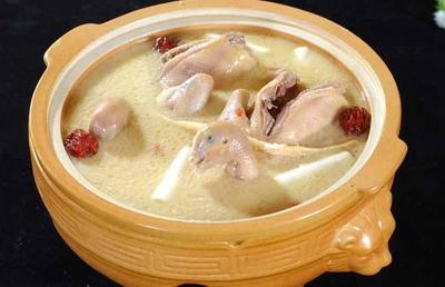 月子吃鸽子会回奶吗