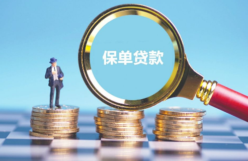 保费贷款