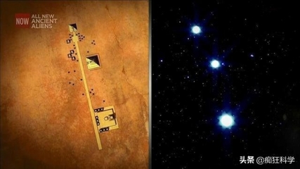 星座 金星
