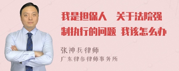 强制执行担保人怎么办