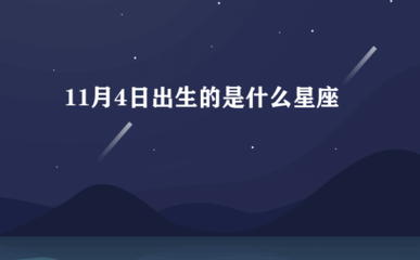 11月4日是什么座